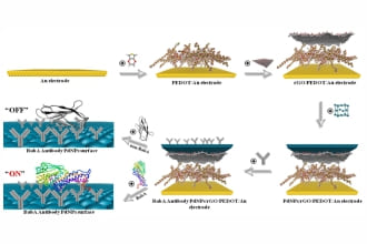 Nanohybrid-based immunosensor prepared